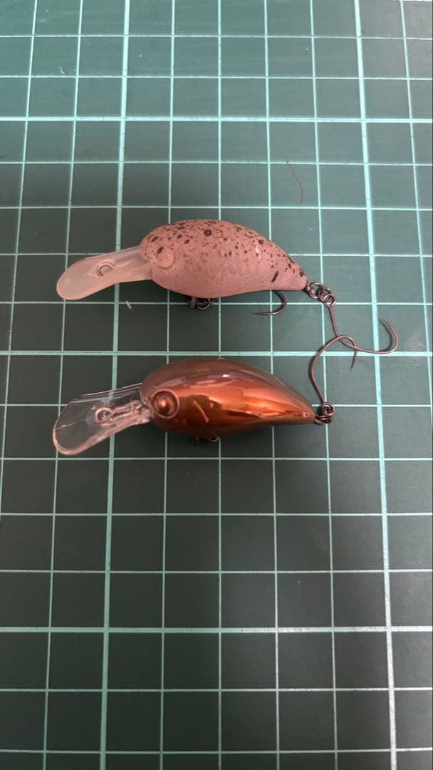 ティモン　パニクラ　DR MR ロデオコラボ