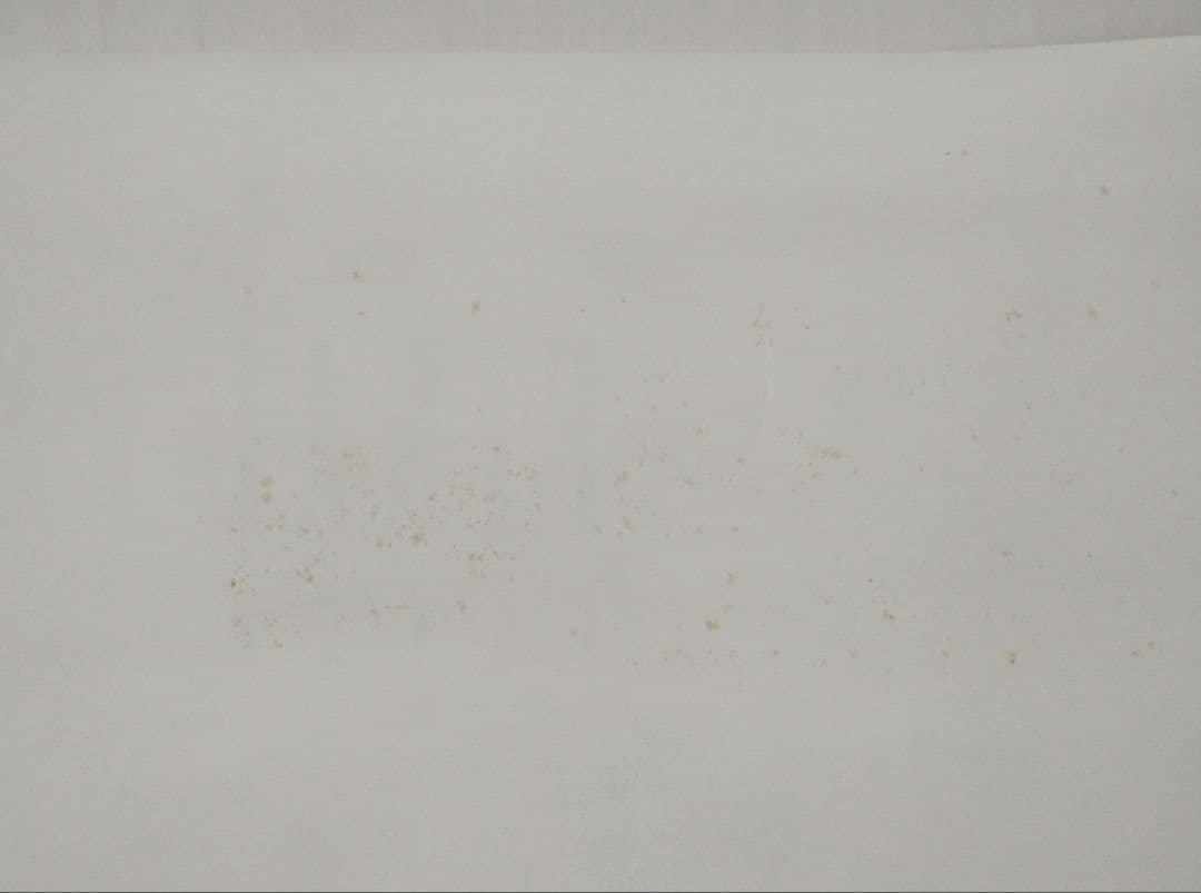 ファイナルファンタジー7 アドベントチルドレン B2販促ポスター