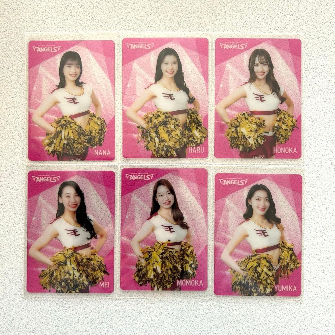 東北ゴールデンエンジェルス2024 シーズン グルメカード 全22枚