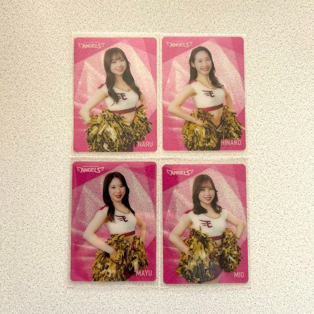 東北ゴールデンエンジェルス2024 シーズン グルメカード 全22枚