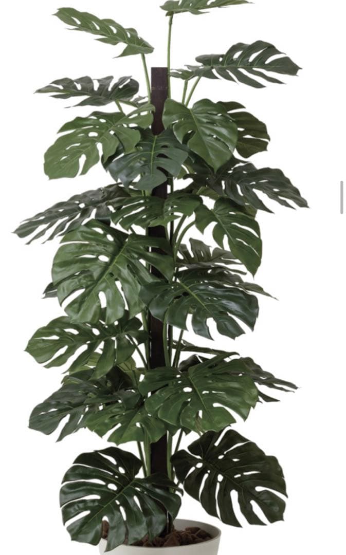 光触媒　人工観葉植物　ウォールグリーン　フェイクグリーン　モンステラ1.8m