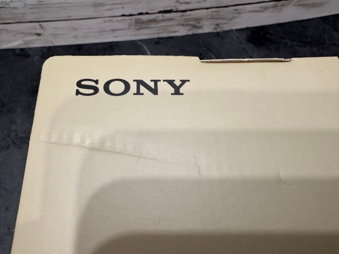 【ほぼ未使用 美品】SONY SRS-HG10