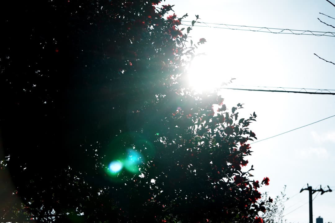 【運動会・スポーツに】SONY 望遠ズームレンズ SEL55210 698