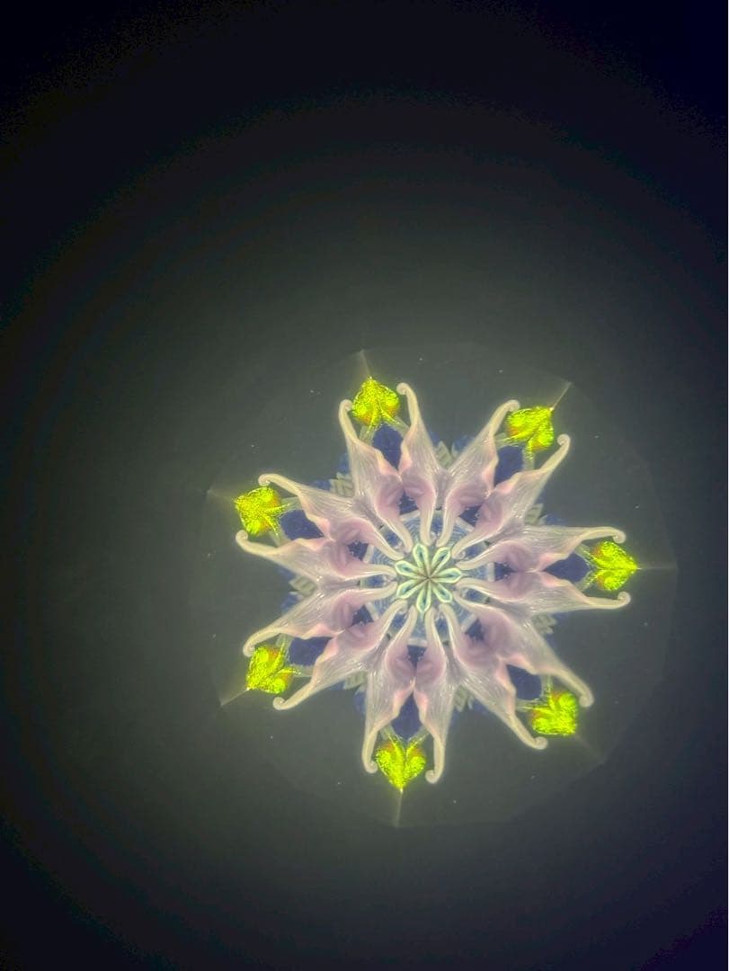 ペギー&スティーブ・キティルソン　オイル万華鏡