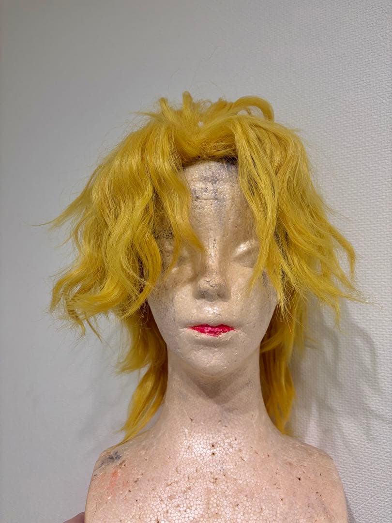 【出品1/20まで】ジョジョ DIO コスプレフルセット