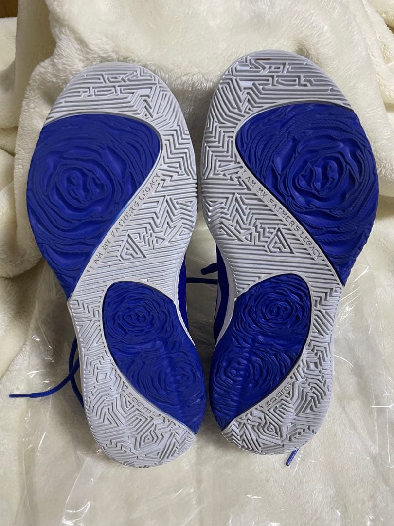 完売モデル ナイキ ズーム フリーク1 ギリシャ