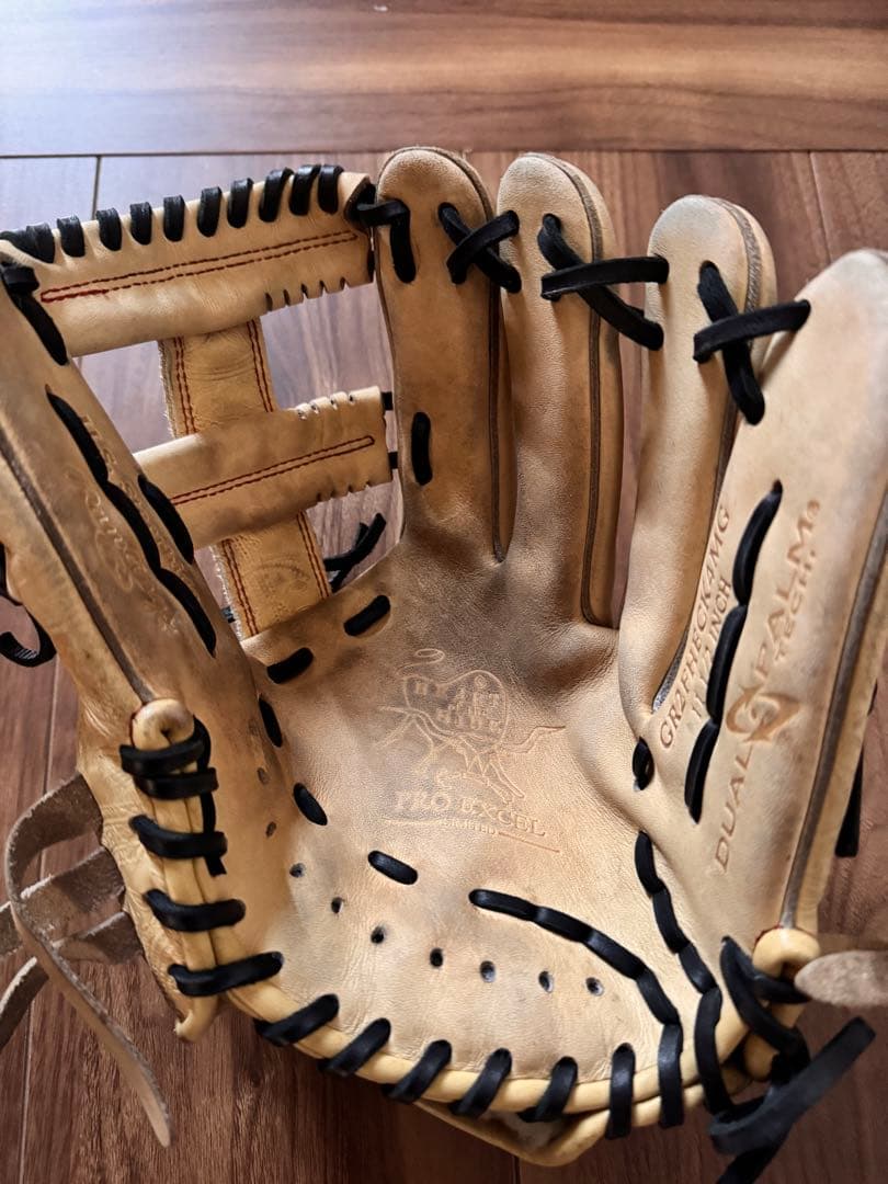 Rawlings GRIPTECH CAMG 11.75インチグローブ