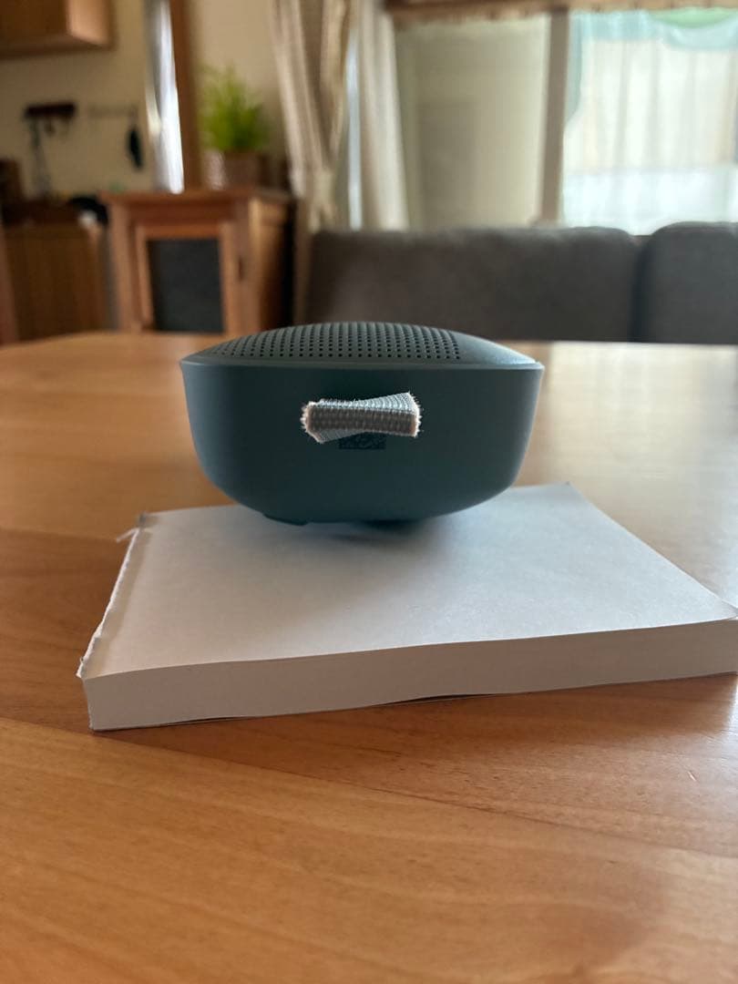 BOSE Sound Link Flex 初代