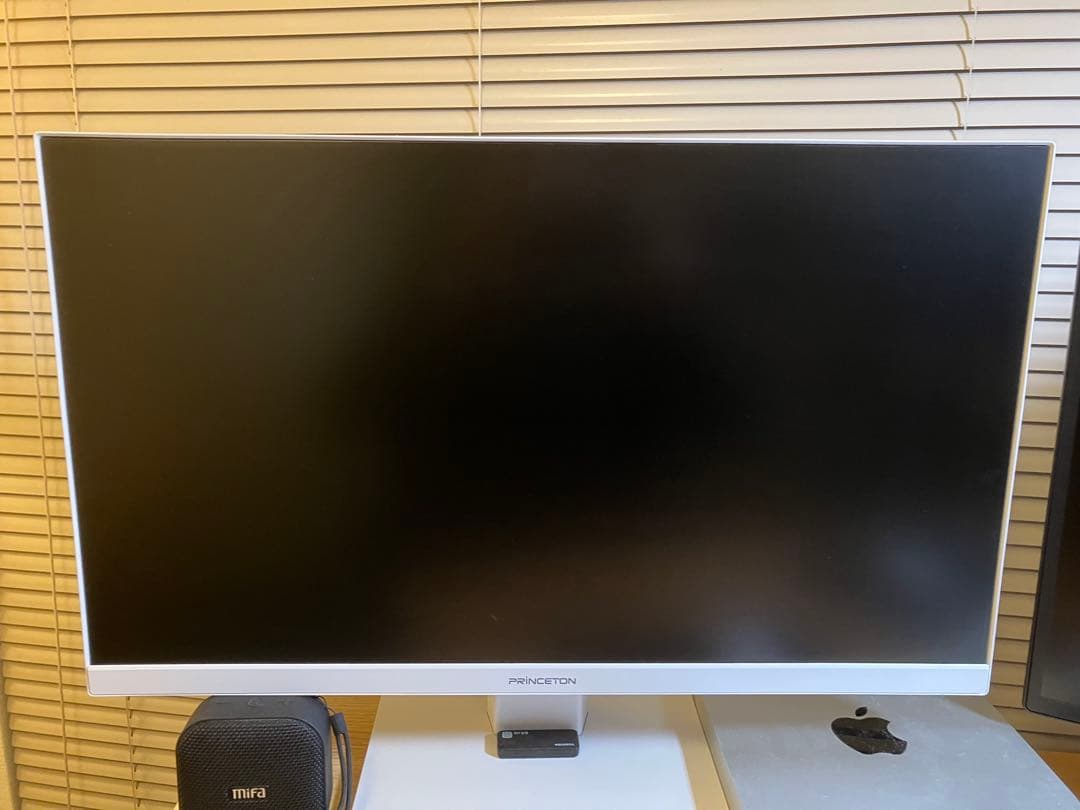 超美品 プリンストン23.8型 ワイドカラー液晶ディスプレイ