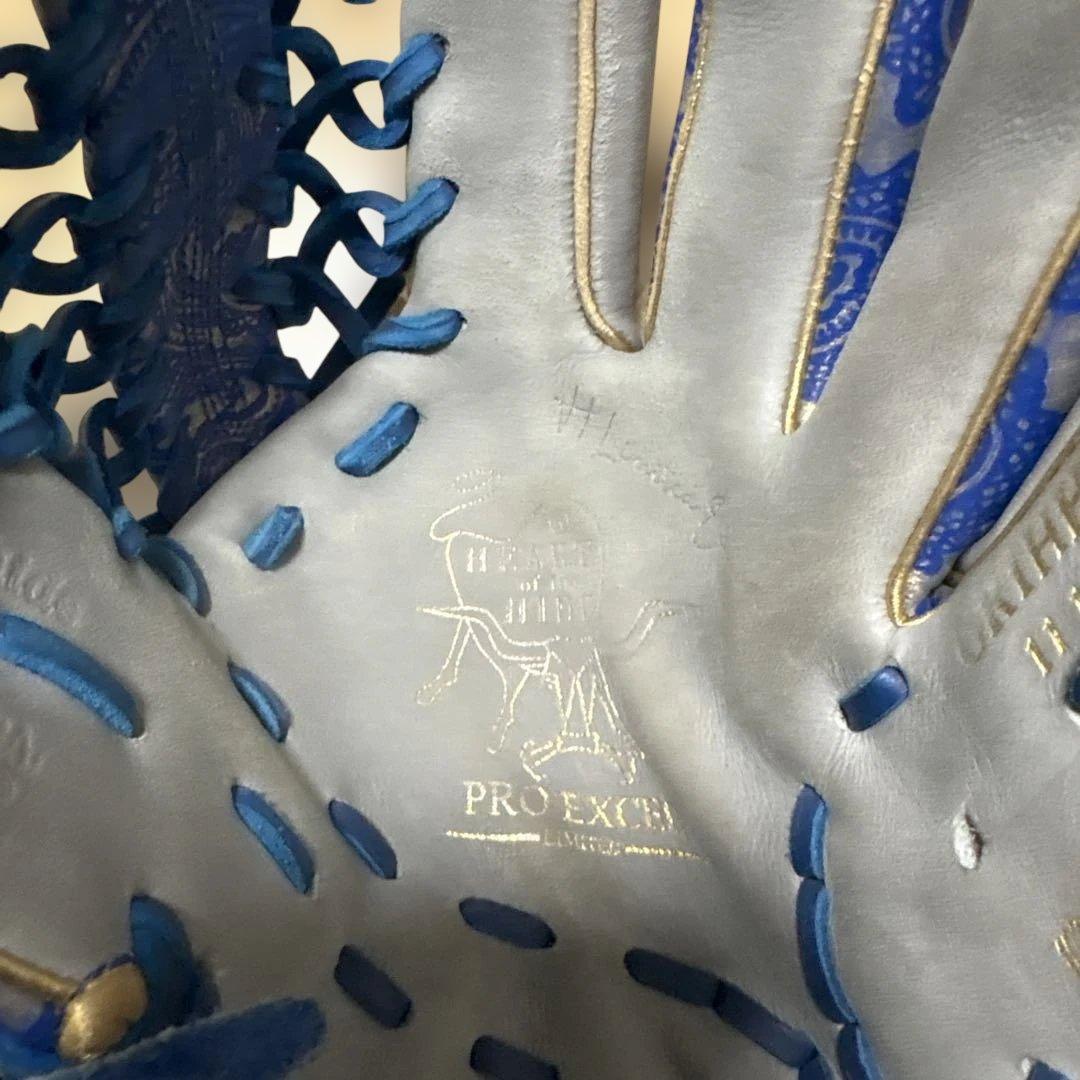 R*割様 Rawlings 軟式野球グローブ DUAL PALM