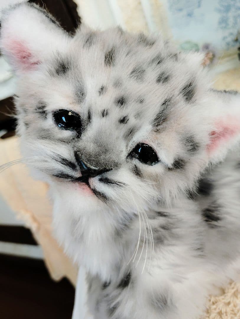 ユキヒョウベビー♡赤ちゃん♡アートドール♡ぬいぐるみ♡