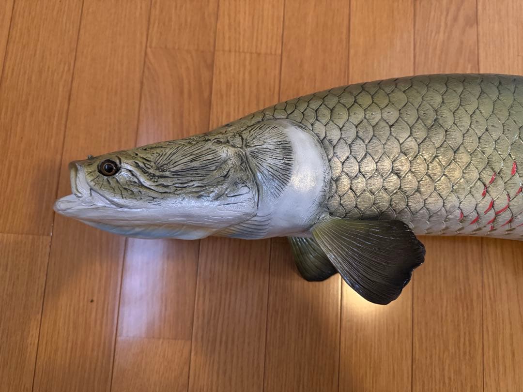 ピラルクのハンドメイドの魚模型