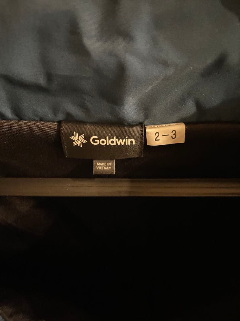 GOLDWIN スキーウェア上下 レディース