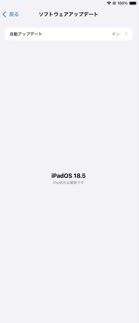 iPad mini 5 64GB Wi-Fiモデル ゴールド