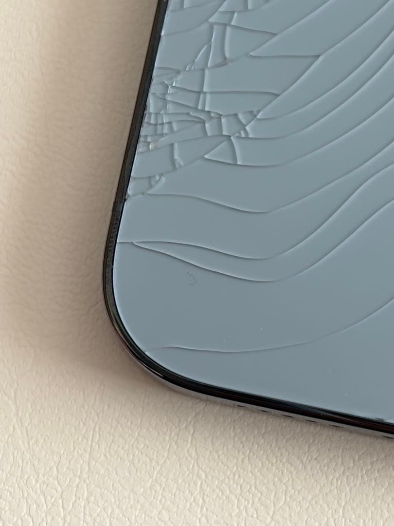 【画面美品　ケース付】iPhone 13 Pro 125GB 背面ひび割れ