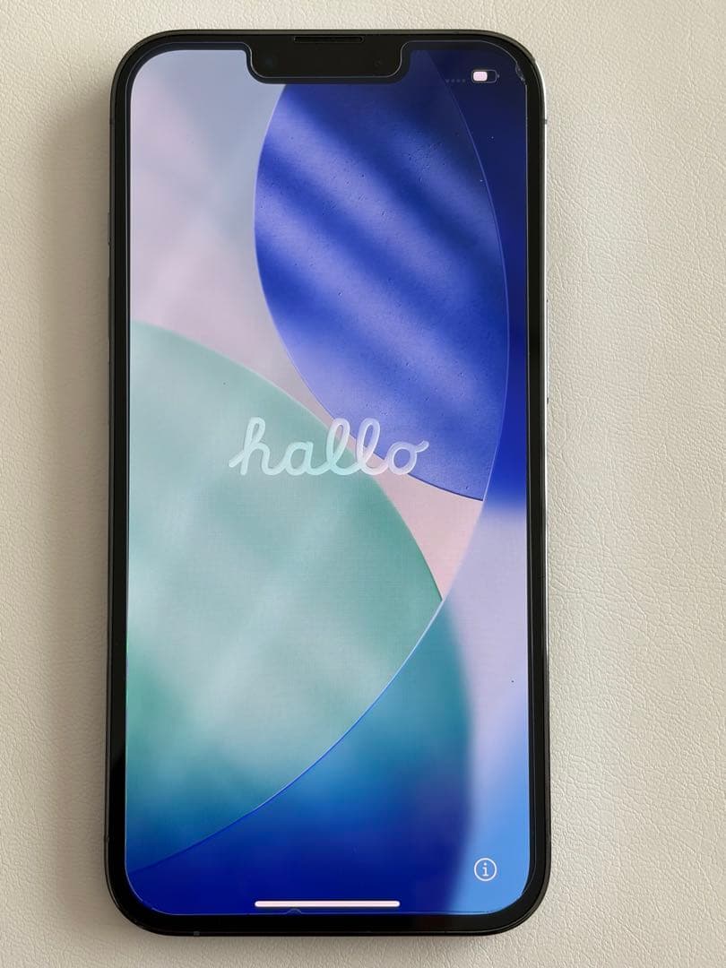 【画面美品　ケース付】iPhone 13 Pro 125GB 背面ひび割れ