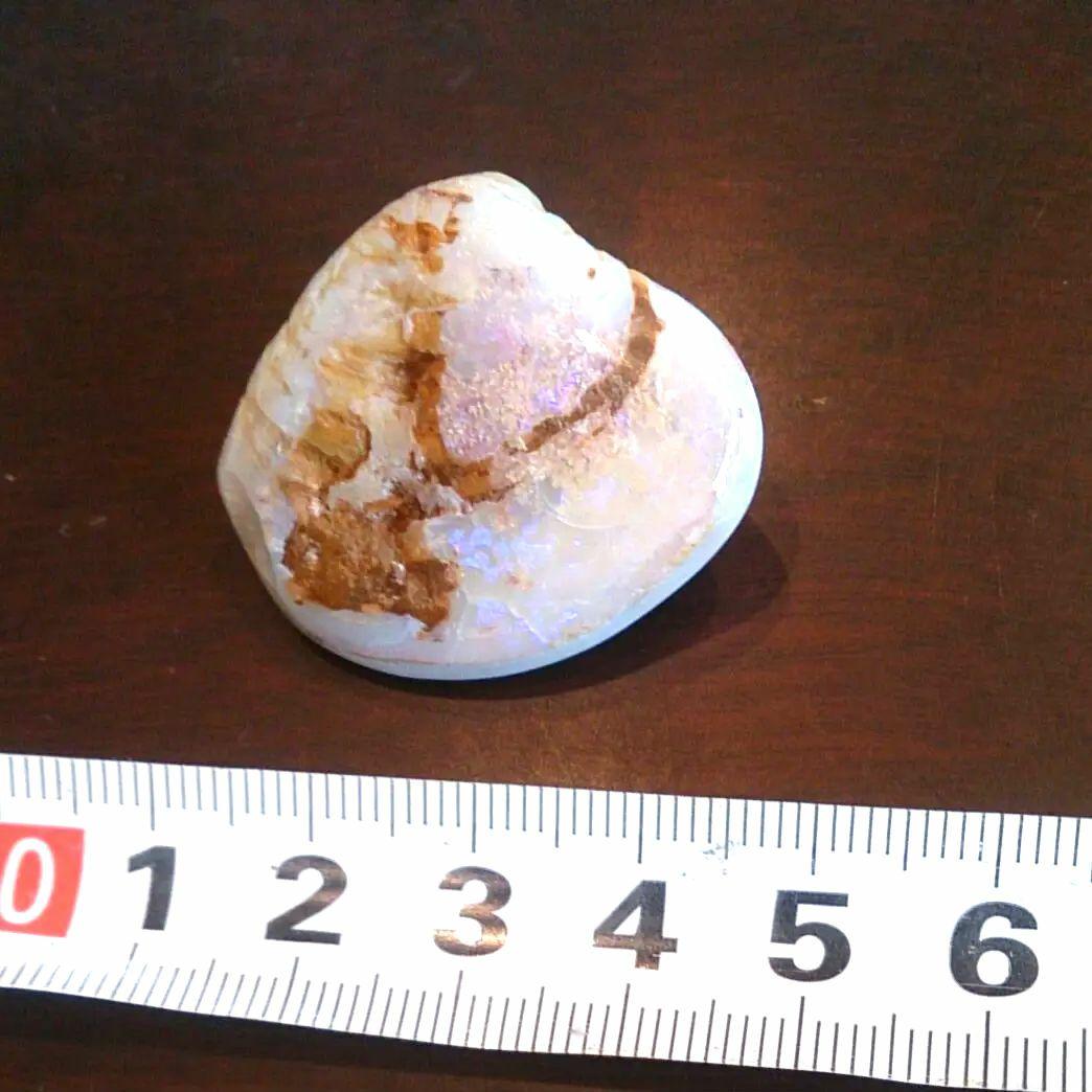 オパール化石　オーストラリアオパール