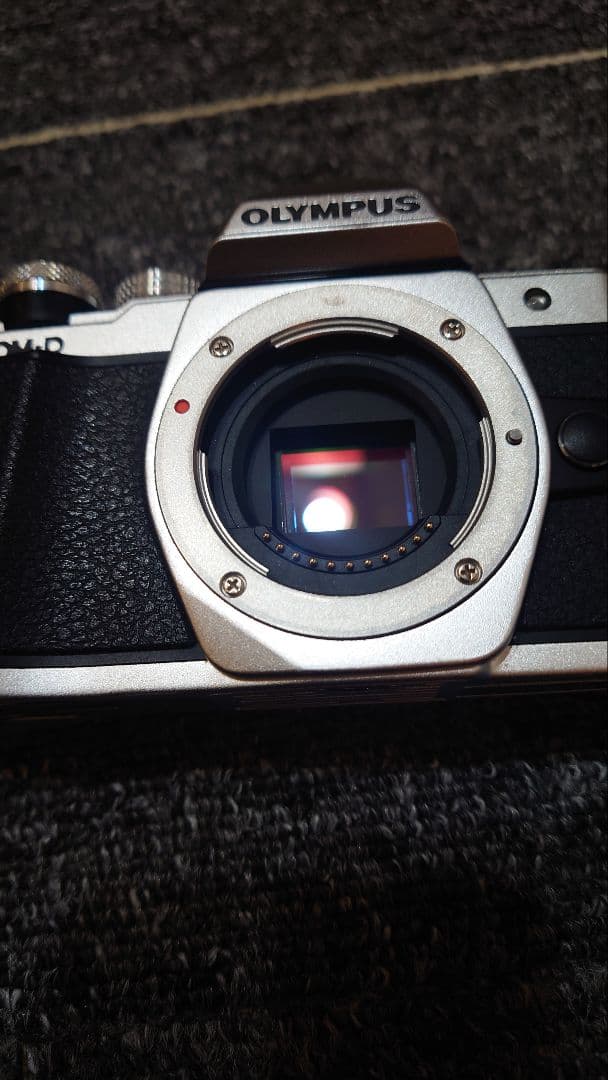 【S数11555回】OLYMPUS OM-D E-M10 MarkⅡ Mark2