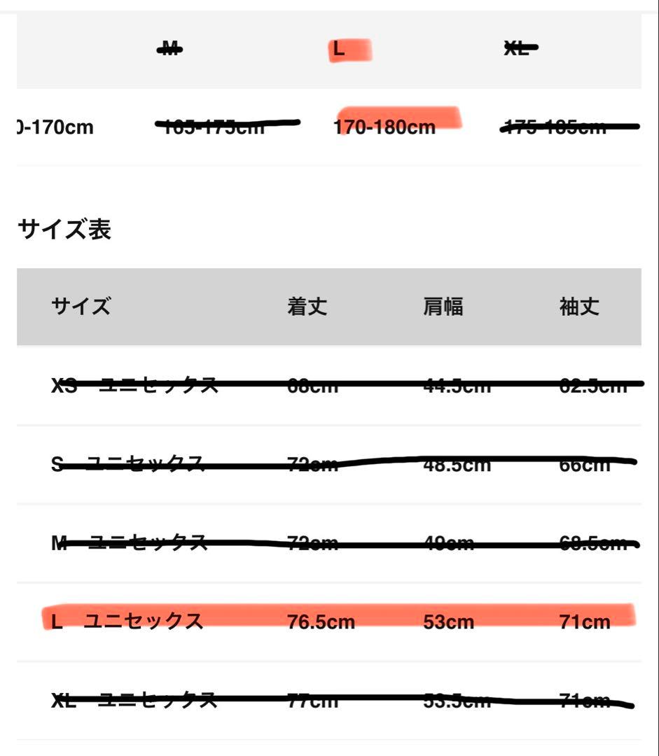 THE NORTH FACE ブラックポーラージャケット 定価47300