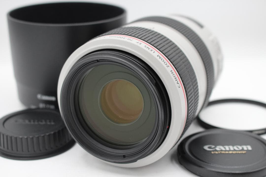 Canon EF 70-300mm F4-5.6L IS USM◆0198