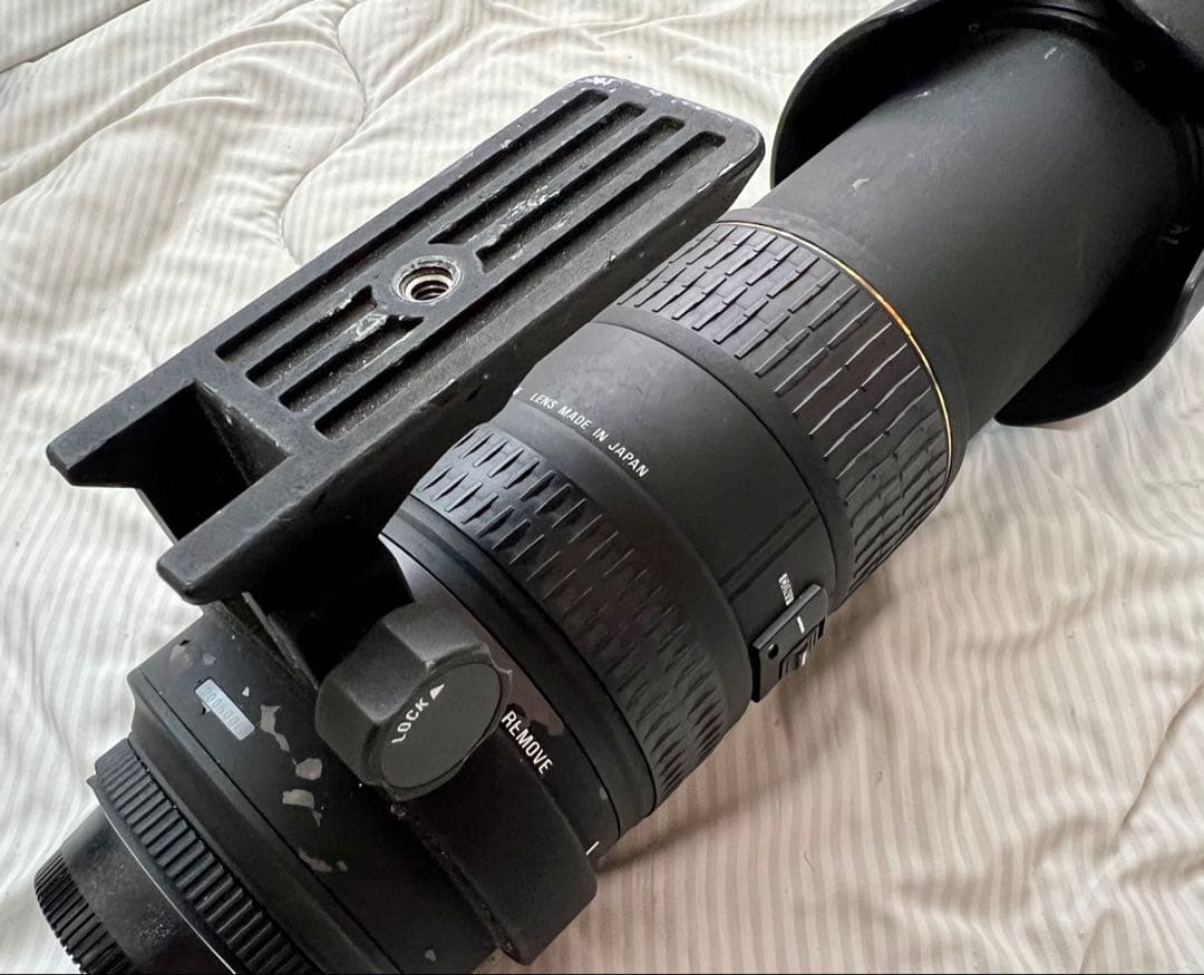 SIGMA APO 50-500mm NIKON用 望遠 レンズ