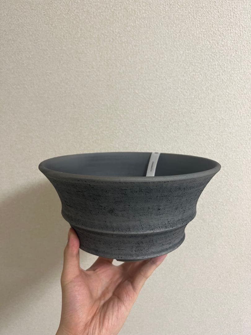 KOMODRY三州みやび鉢 パキプスInvisible ink SRL 鶴仙園