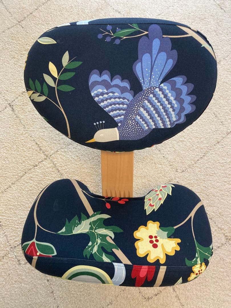 バランス イージー　【専用カバー付き】　バランスラボ　赤　サカモトハウス