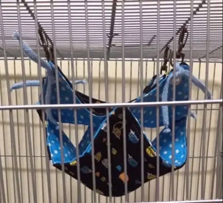 モモンガハウス（迷彩柄・ピンク）秋・春仕様  1900円