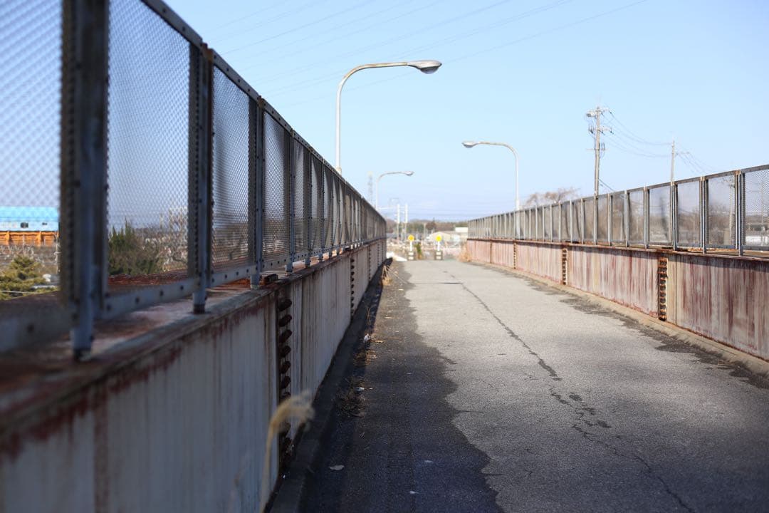 Canon EF 50mm f/1.4 USM フード、フィルター付