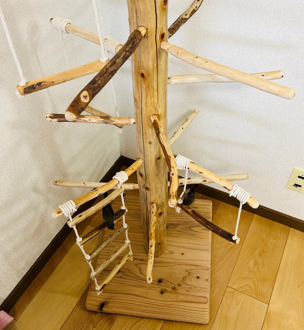 【中型鳥用】ブランコ＆はしごで楽しいバードアスレチック