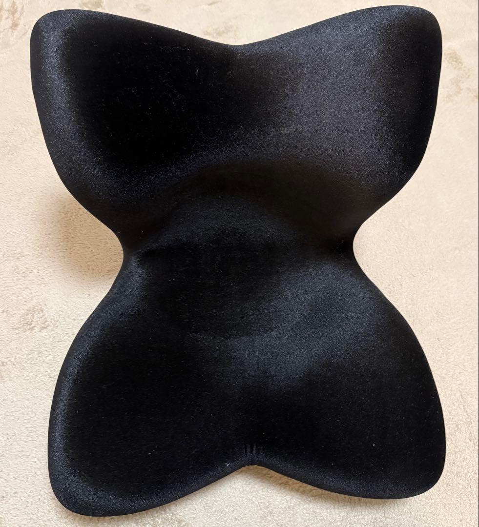 【極美品】MTG STYLE premium DX 姿勢矯正シート 正規品