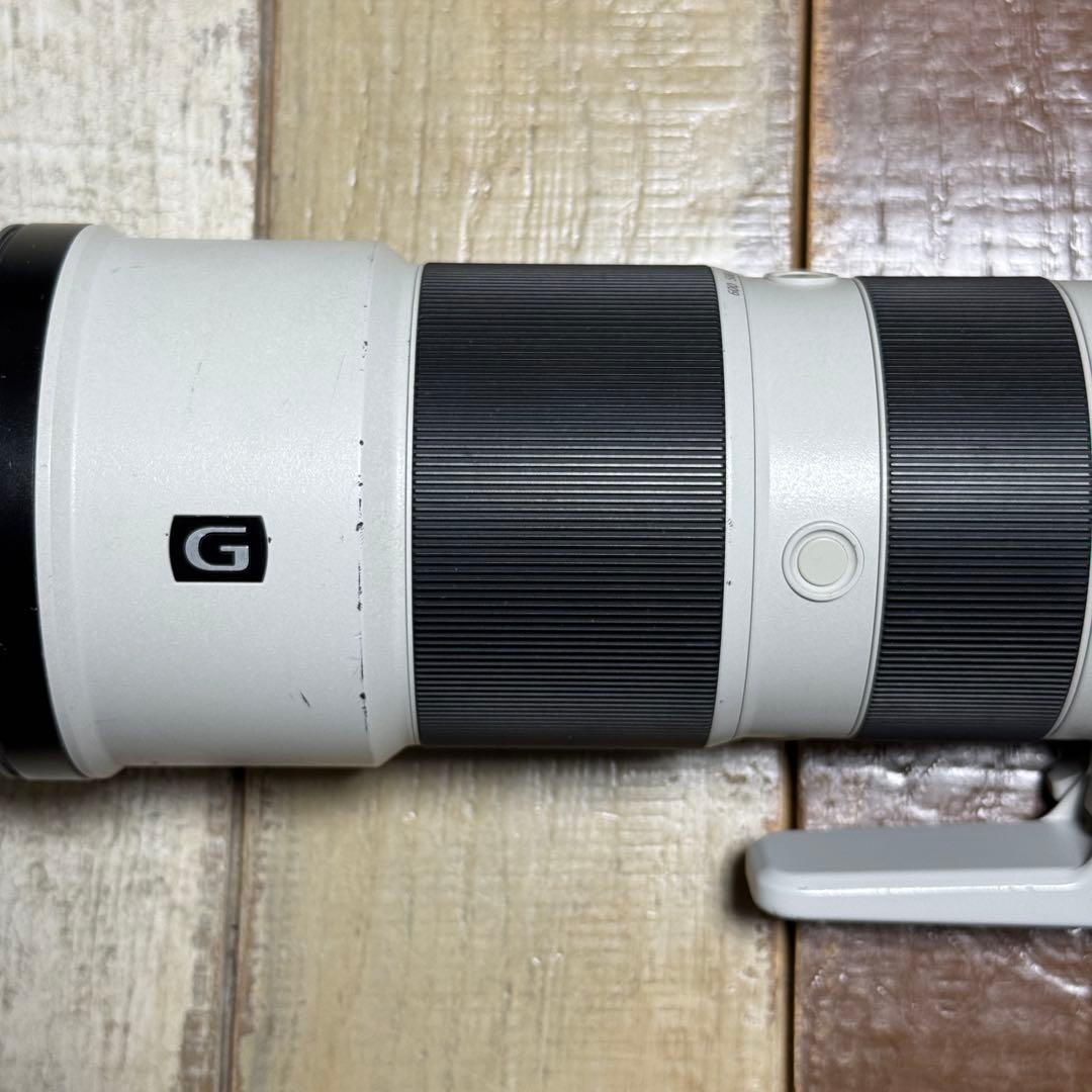 【SIMピン】Sony FE 200-600mm F5.6-6.3 G