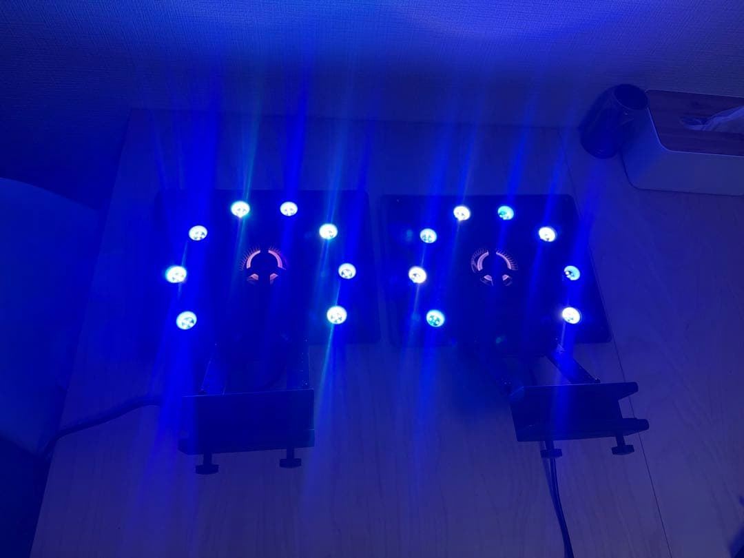 maxspect ETHEREAL 2個セット