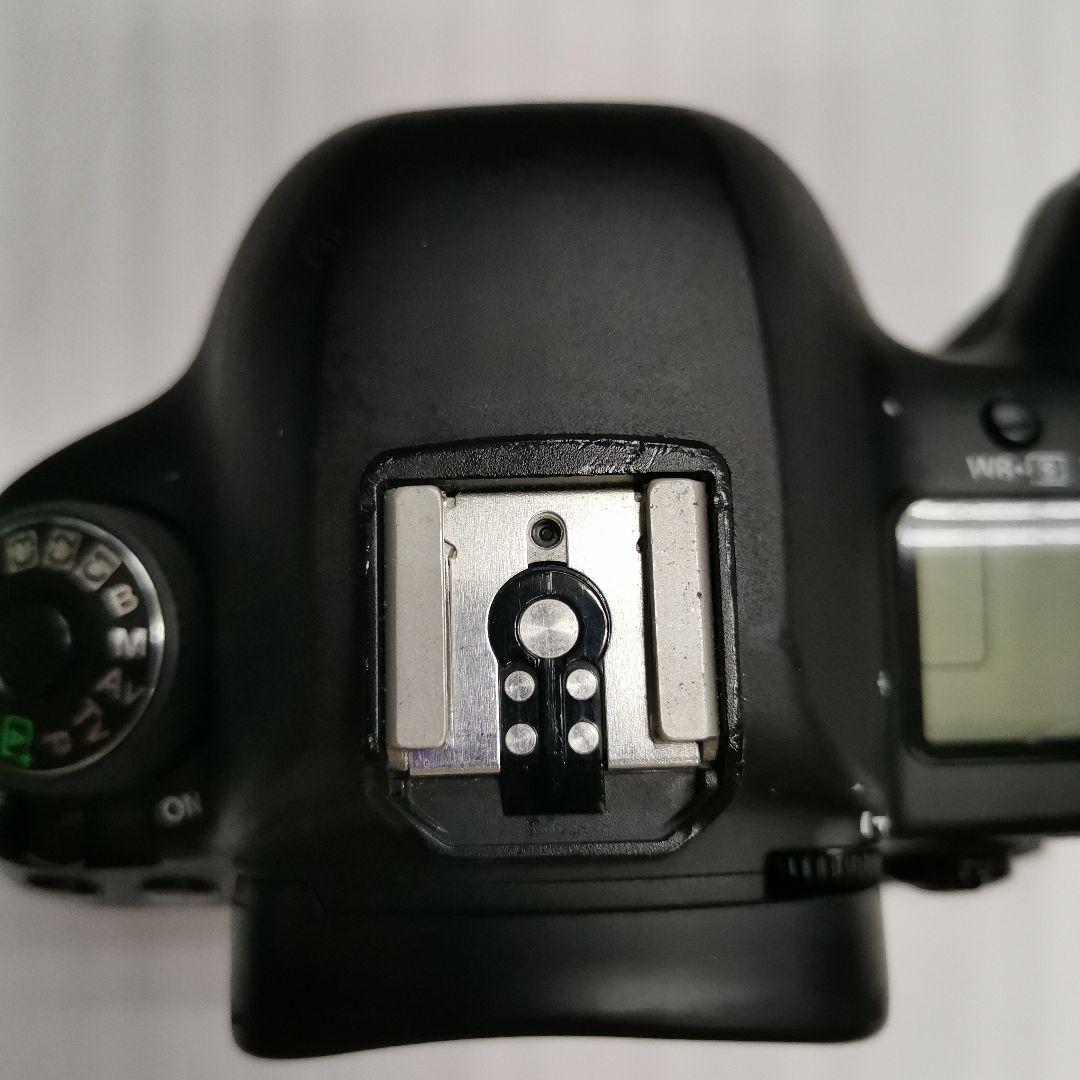 Canon EOS 5D markⅣ 中古品