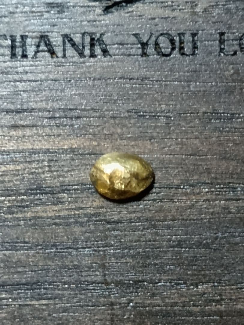 STOP LIGHT ストップライト（ 金目のみ）