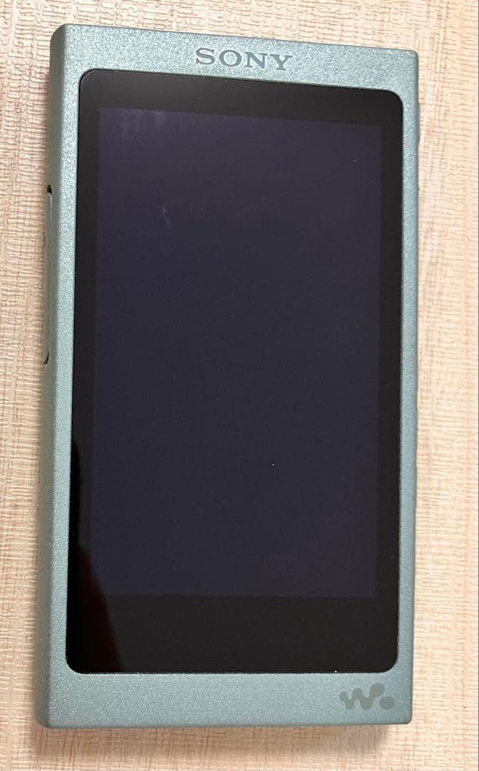 SONY WALKMAN NW-A45 本体 専用カバーケース付き