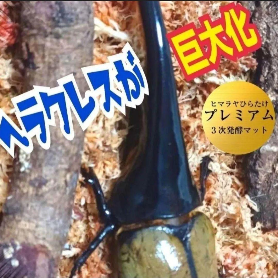 ヘラクレス幼虫が大きくなる！プレミアム3次発酵マット【60リットル】産卵にも抜群