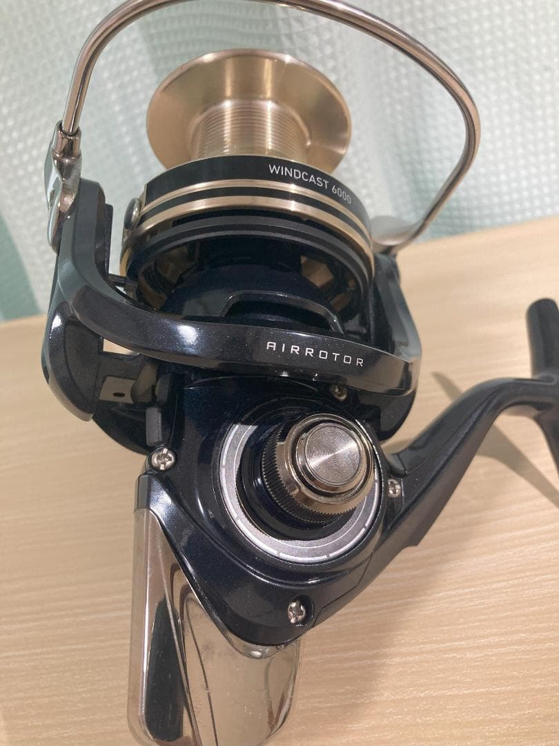 ダイワ 17 WINDCAST ウインドキャスト 6000
