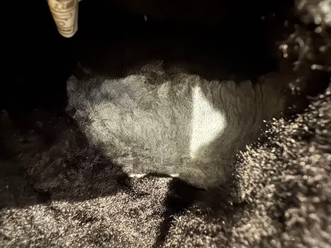 靴 Bailey Zip Mini 24