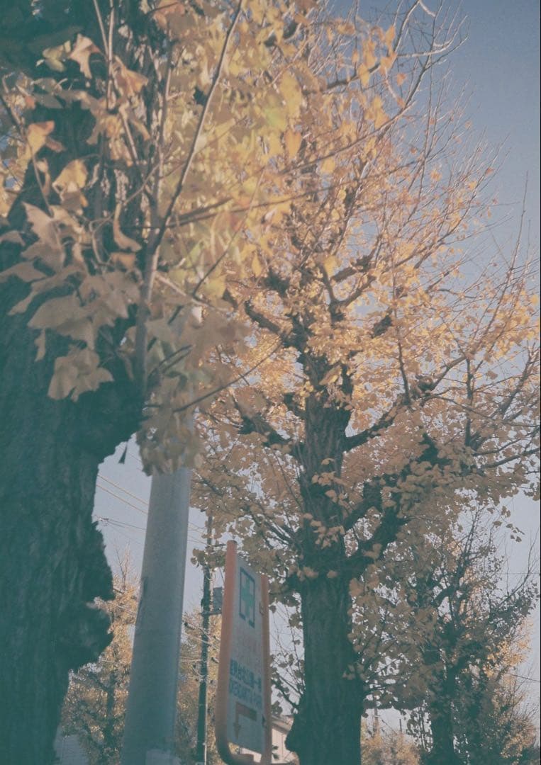 PENTAX ESPIO 80 コンパクトフィルムカメラ