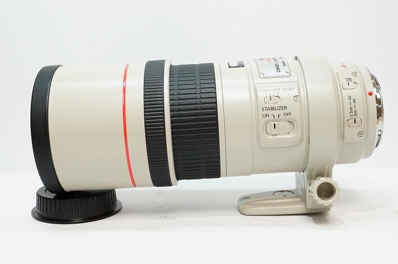 高級Lレンズ 手振れ　EF 300mm F4 L IS USM