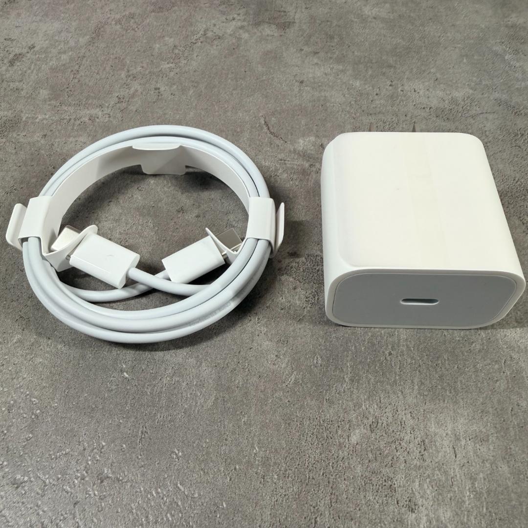 11インチ iPad Pro 第2世代 Wi-Fi+Cellular 256GB