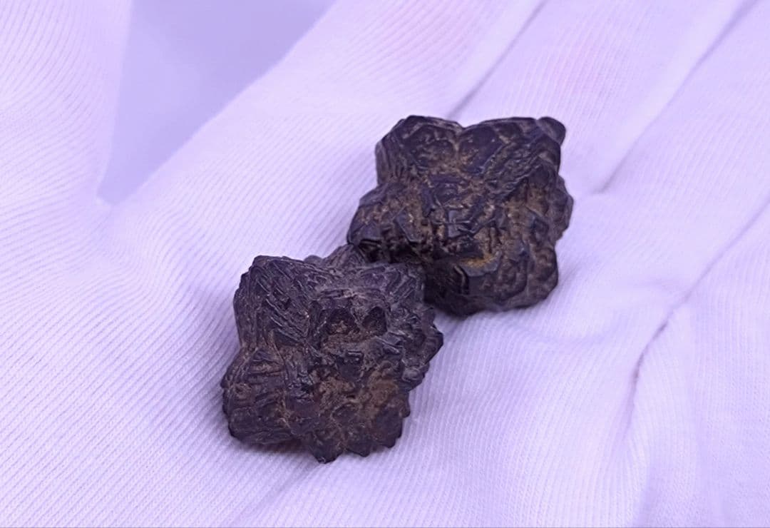 予言石　2個セット　プロフェシーストーン　Zストーン　ミネラルマリファナ　瞑想