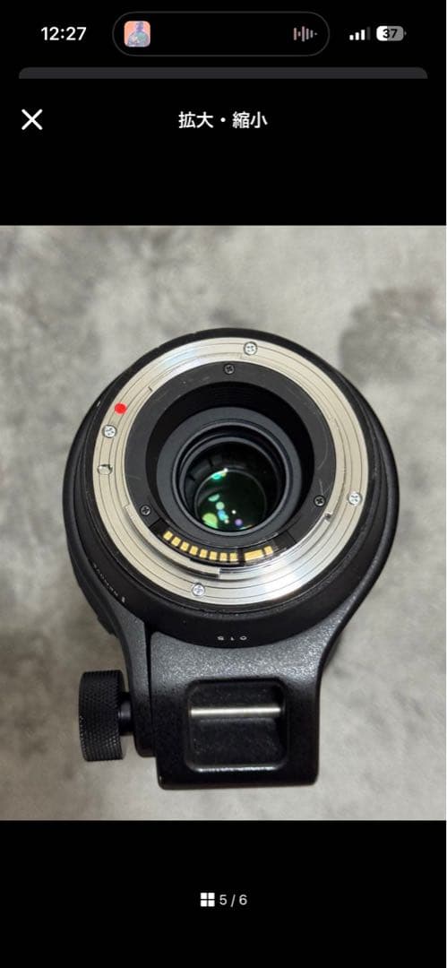 Canon R10・SIGMA 150-600mm (1月限定)