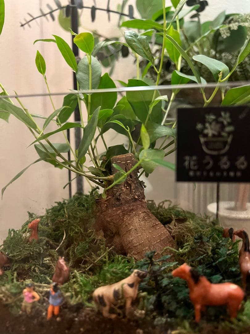 【動作良好】iPhone13Proシエラブルー Swarovskiケース付