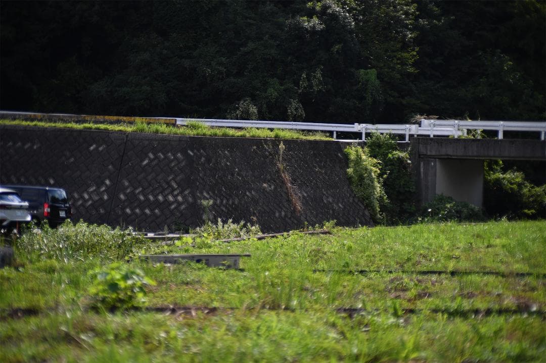 タムロン SP Macro 90mm F2.8 マクロレンズ C/Yマウント