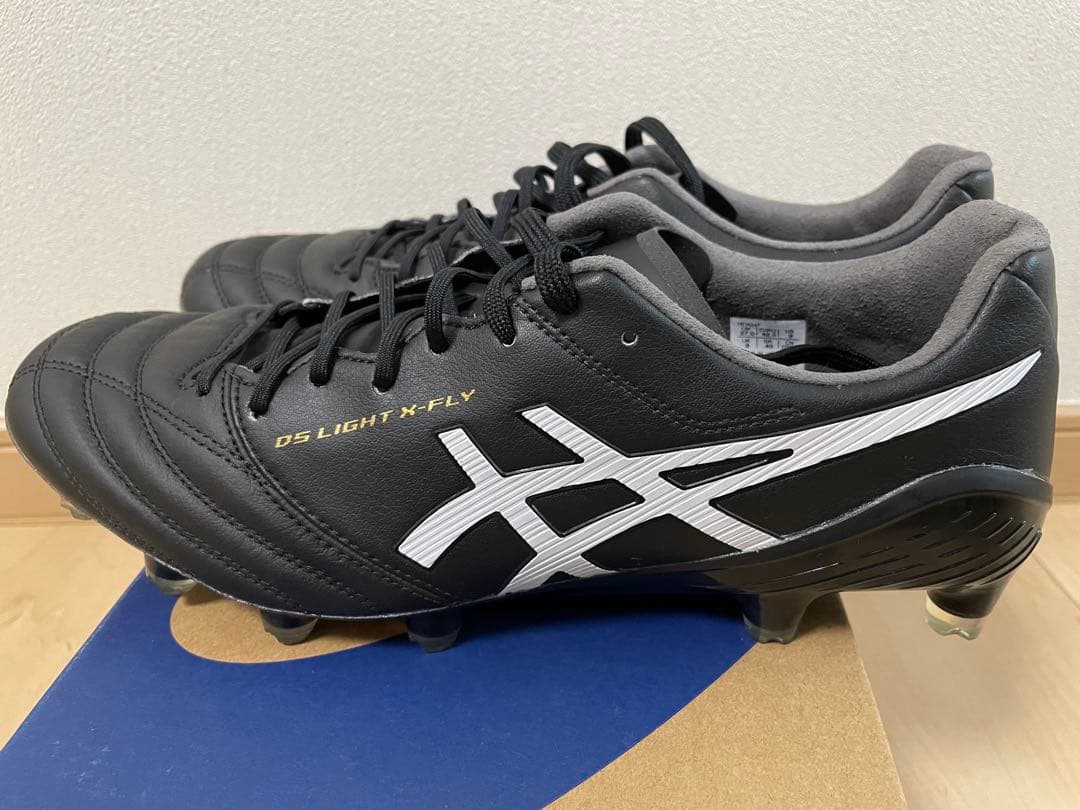 アシックスDS LIGHT X-FLY 5