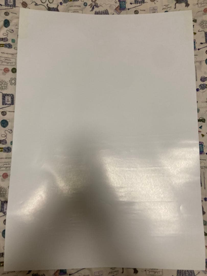 ゆ*ね様 ファイナルファンタジーⅧ スコール　市販品？ポスター