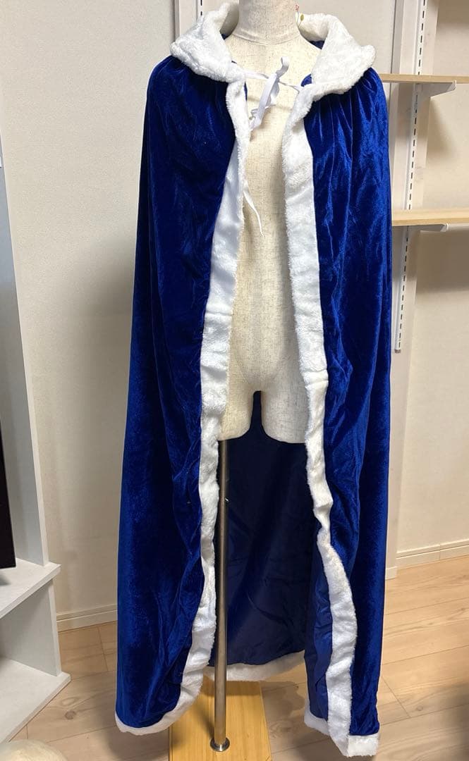 Fate/stay night セイバー衣装