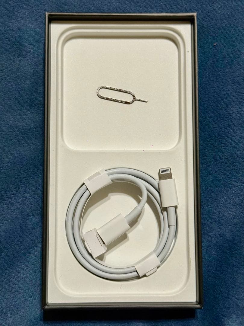 iPhone 13 Pro 512GB シエラブルーSIMフリー版本体